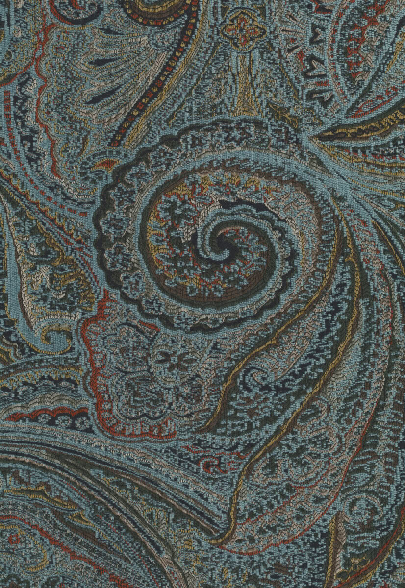 Elegant paisley patterned rug with intricate details and vibrant colors, perfect for enhancing living room aesthetics and adding a touch of sophistication.